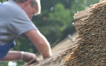 professional Bradpole thatchers