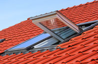Bradpole roof window